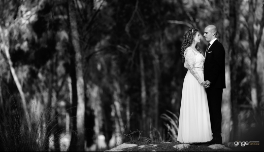 צילומי וידאו לחתונה בטבע